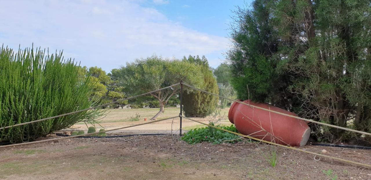 El Molino De Arriba Vila Níjar Exterior foto