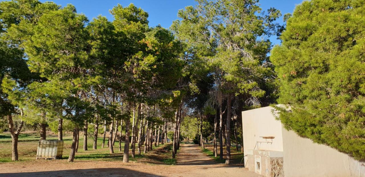 El Molino De Arriba Vila Níjar Exterior foto