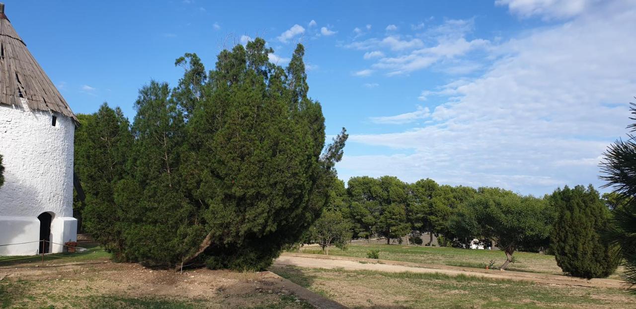 El Molino De Arriba Vila Níjar Exterior foto